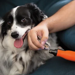 Black & Decker BLACK+DECKER 7.2V Cordless Li-ion Rotary Tool With 52 Accessories (BCRT81K-XJ) -Stanley Shop 13034650 1514864769918232